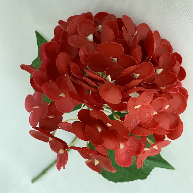 Artificial hydrangeas are made of Soft rubber cloth, available in 22 colors. Artificial hydrangeas flowers are used for ‎Home decoration, party venue decoration, wedding venue decoration, exquisite bouquet design, flower box design, flower basket design. Hydrangea flower arrangements can be paired with delphiniums, freesias, foxgloves, greenery, bells, and more. Use hydrangeas in different colors to create a more vibrant floral arrangement for special occasions. Add some greenery to your flower arrangement to fill in the gaps and add visual interest. Use a vase or container in the same color as the hydrangeas for a more cohesive look. Leafhometrade specializes in providing wholesale custom artificial plants.