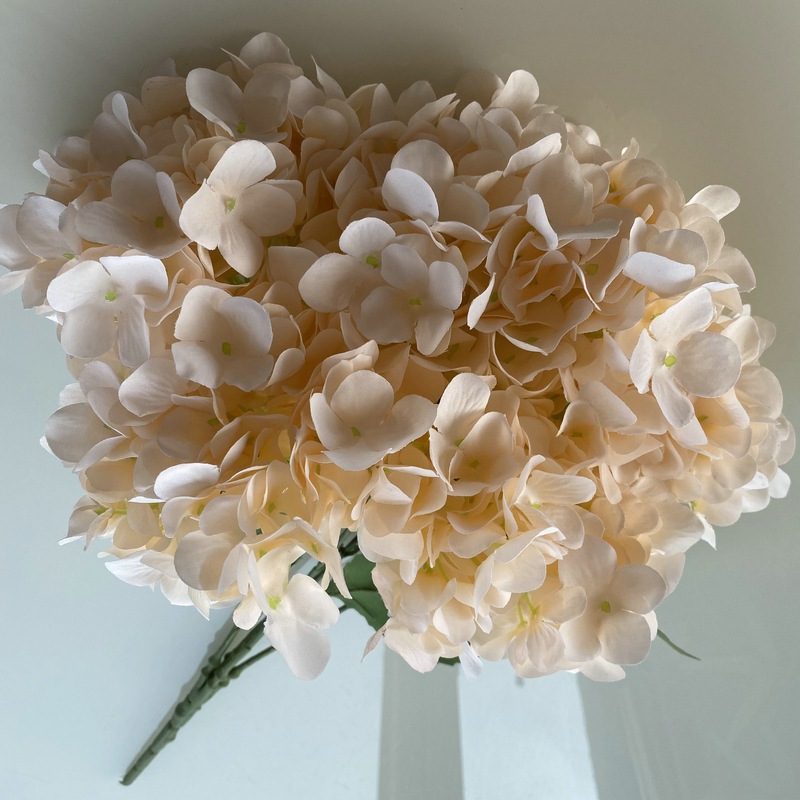 Artificial hydrangeas are made of fabric cloth, available in 17 colors. Artificial hydrangeas flowers are used for ‎Home decoration, party venue decoration, wedding venue decoration, exquisite bouquet design, flower box design, flower basket design. Hydrangea flower arrangements can be paired with delphiniums, freesias, foxgloves, greenery, bells, and more. Use hydrangeas in different colors to create a more vibrant floral arrangement for special occasions. Add some greenery to your flower arrangement to fill in the gaps and add visual interest. Use a vase or container in the same color as the hydrangeas for a more cohesive look. Leafhometrade specializes in providing wholesale custom artificial plants.