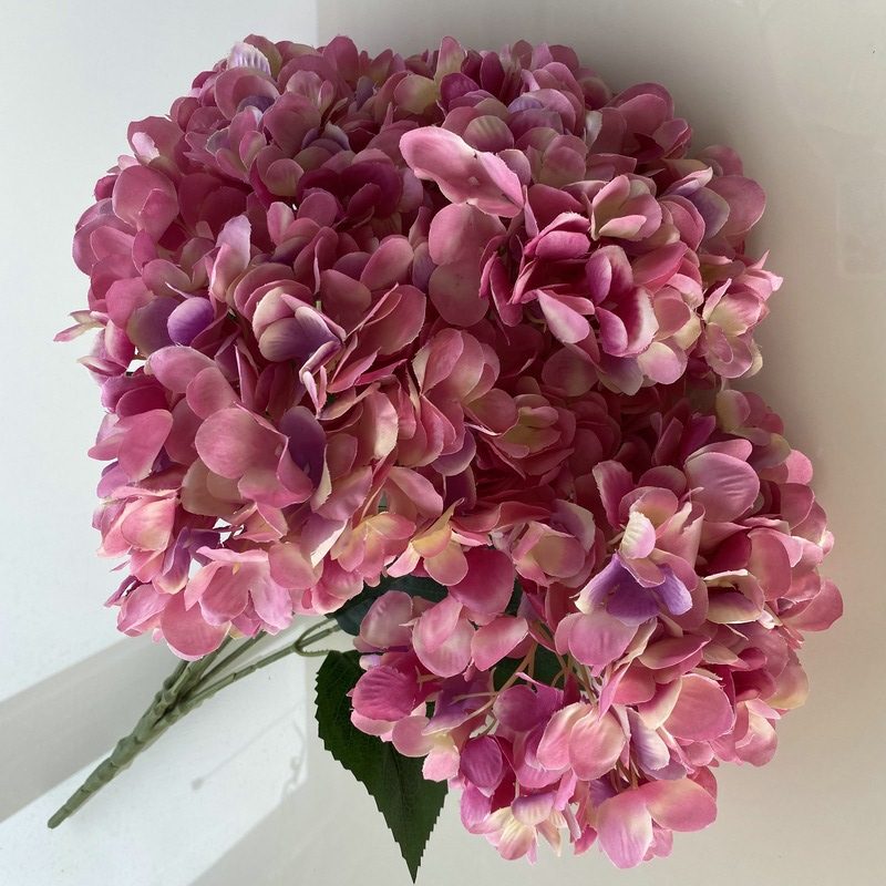 Artificial hydrangeas are made of fabric cloth, available in 17 colors. Artificial hydrangeas flowers are used for ‎Home decoration, party venue decoration, wedding venue decoration, exquisite bouquet design, flower box design, flower basket design. Hydrangea flower arrangements can be paired with delphiniums, freesias, foxgloves, greenery, bells, and more. Use hydrangeas in different colors to create a more vibrant floral arrangement for special occasions. Add some greenery to your flower arrangement to fill in the gaps and add visual interest. Use a vase or container in the same color as the hydrangeas for a more cohesive look. Leafhometrade specializes in providing wholesale custom artificial plants.