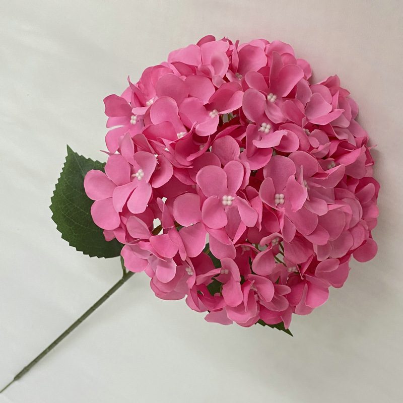 Artificial hydrangeas are made of fabric cloth, available in 12 colors. Artificial hydrangeas flowers are used for ‎Home decoration, party venue decoration, wedding venue decoration, exquisite bouquet design, flower box design, flower basket design. Hydrangea flower arrangements can be paired with delphiniums, freesias, foxgloves, greenery, bells, and more. Use hydrangeas in different colors to create a more vibrant floral arrangement for special occasions. Add some greenery to your flower arrangement to fill in the gaps and add visual interest. Use a vase or container in the same color as the hydrangeas for a more cohesive look. Leafhometrade specializes in providing wholesale custom artificial hydrangea flower.