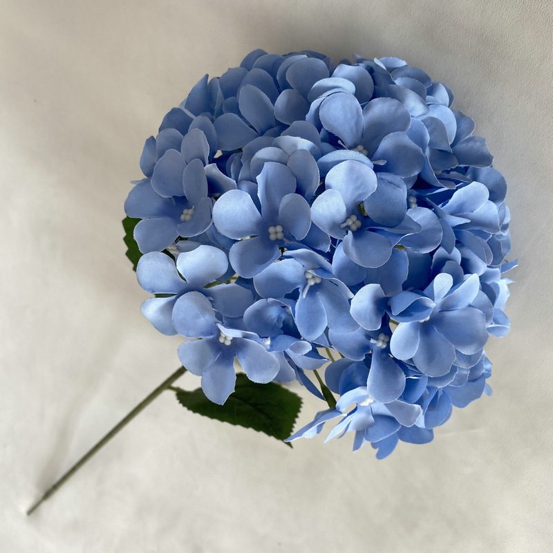 Artificial hydrangeas are made of fabric cloth, available in 12 colors. Artificial hydrangeas flowers are used for ‎Home decoration, party venue decoration, wedding venue decoration, exquisite bouquet design, flower box design, flower basket design. Hydrangea flower arrangements can be paired with delphiniums, freesias, foxgloves, greenery, bells, and more. Use hydrangeas in different colors to create a more vibrant floral arrangement for special occasions. Add some greenery to your flower arrangement to fill in the gaps and add visual interest. Use a vase or container in the same color as the hydrangeas for a more cohesive look. Leafhometrade specializes in providing wholesale custom artificial hydrangea flower.