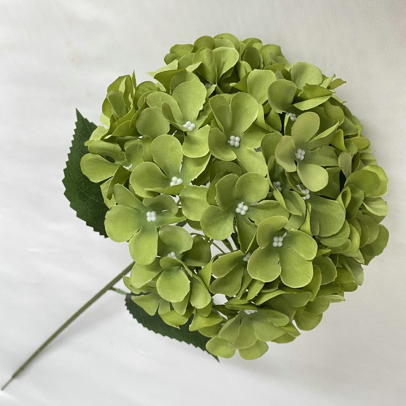 Artificial hydrangeas are made of fabric cloth, available in 12 colors. Artificial hydrangeas flowers are used for ‎Home decoration, party venue decoration, wedding venue decoration, exquisite bouquet design, flower box design, flower basket design. Hydrangea flower arrangements can be paired with delphiniums, freesias, foxgloves, greenery, bells, and more. Use hydrangeas in different colors to create a more vibrant floral arrangement for special occasions. Add some greenery to your flower arrangement to fill in the gaps and add visual interest. Use a vase or container in the same color as the hydrangeas for a more cohesive look. Leafhometrade specializes in providing wholesale custom artificial hydrangea flower.