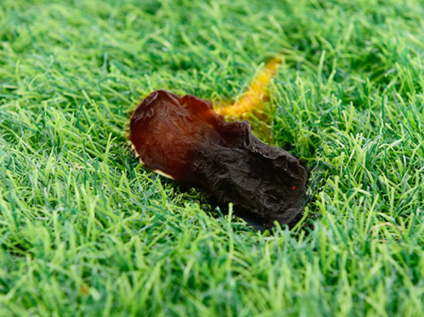 Artificial simulation grass, suspended turf, plastic green grass mat, each piece of artificial grass has four layers of structure, namely artificial grass silk, polypropylene fiber, mesh panel, styrene-butadiene latex (SBR). We can lay turf in engineering enclosures, paving lawns, sports field lawns, football fields, sports stadiums, school playgrounds, exhibition halls, land shielding, golf courses, gateball courts, gyms, indoor badminton courts, etc. The product specifications vary according to different usage scenarios. We can customize according to your needs.