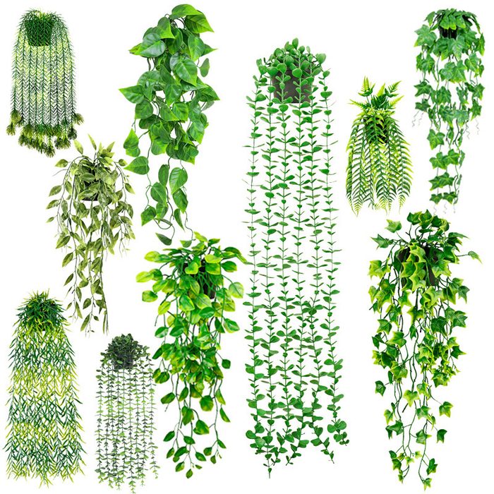 Artificial Vine fake wall mounted plants artificial plant wall hanging fake vine wall uv resistant artificial hanging plants artificial plant wall decor artificial hanging amaranthus artificial wall plant faux hanging ferns hanging wisteria hanging wisteria flowers fake hanging moss best fake hanging plants faux outdoor hanging plants artificial plant wall decor outdoor artificial hanging flowers for outdoors fake outdoor hanging flowers outdoor hanging flowers artificial artificial hanging ferns hanging faux ferns hanging fake plants decor Artificial Hanging Plants